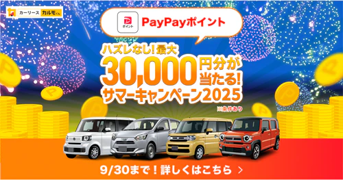 サマーキャンペーン2025