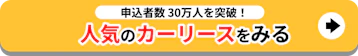 30万人突破_人気のカーリースをみる