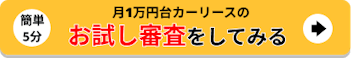 お試し審査
