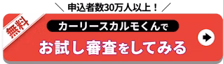 カルモくんでお試し審査をしてみる