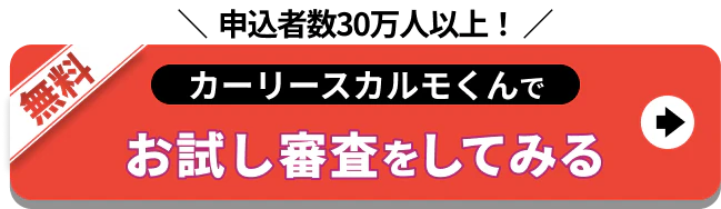 申込者数25万人以上_お試し審査をしてみる
