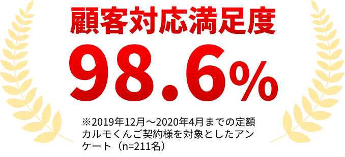 定額カルモくんの審査に申し込んだ方の実際の声