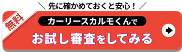 お試し審査_先に確かめておくと安心