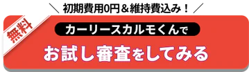 初期費用0円_お試し審査をしてみる