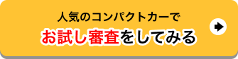 お試し