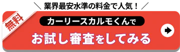 業界最安_カルモ_お試し審査
