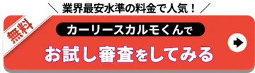 業界最安_カルモ_お試し審査