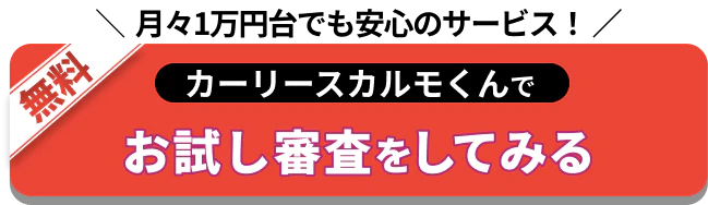 月々1万円台でも安心のサービス！定額カルモくんでお試し審査をしてみる