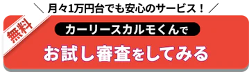 月々1万円台でも安心のサービス！定額カルモくんでお試し審査をしてみる