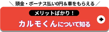 メリットばかり_定額カルモくんについて知る