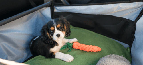車内を汚さない工夫をする について解説する項目の見出し画像