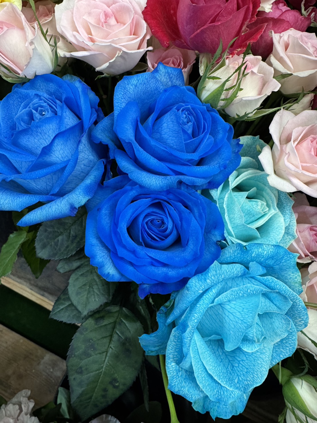 青い薔薇も入荷するようにしておりますが、品切れの場合もあるので早めにお問い合わせください。
