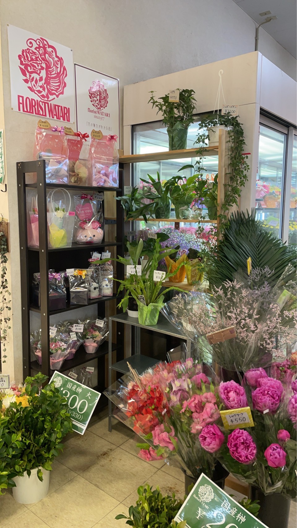 最新のお知らせです。詳細は店舗にて！