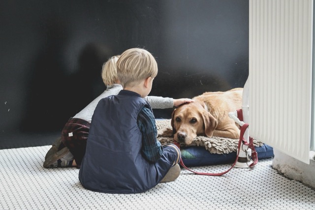 子供と犬