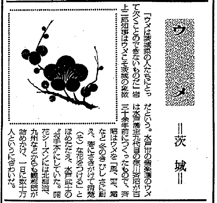 県の木紙面2.jpg