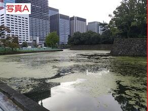 ◆A IMG_20181031_073838小2.jpg