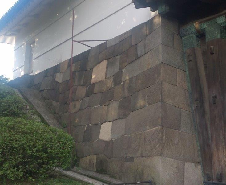 xDSC_5854トリ小.jpg