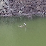 写真A 2014-09-05 12 31 53.jpg