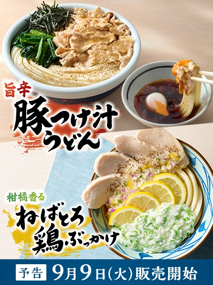 丸亀製麺 キーホルダー　3個セット　えび天　半熟玉子天　釜揚げうどん 61BrDQrcZlL._UF350,350_QL80_.jpg