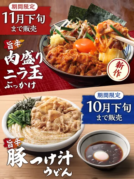 約48枚 まとめ売り 丸亀製麺 メニュー表 フェアー レギュラー 日替わり 約48枚 まとめ売り 丸亀製麺 メニュー表 フェアー レギュラー
