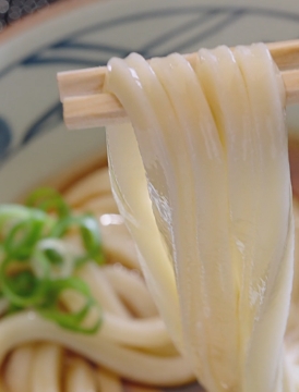 ここのうどんは、生きている。丸亀製麺