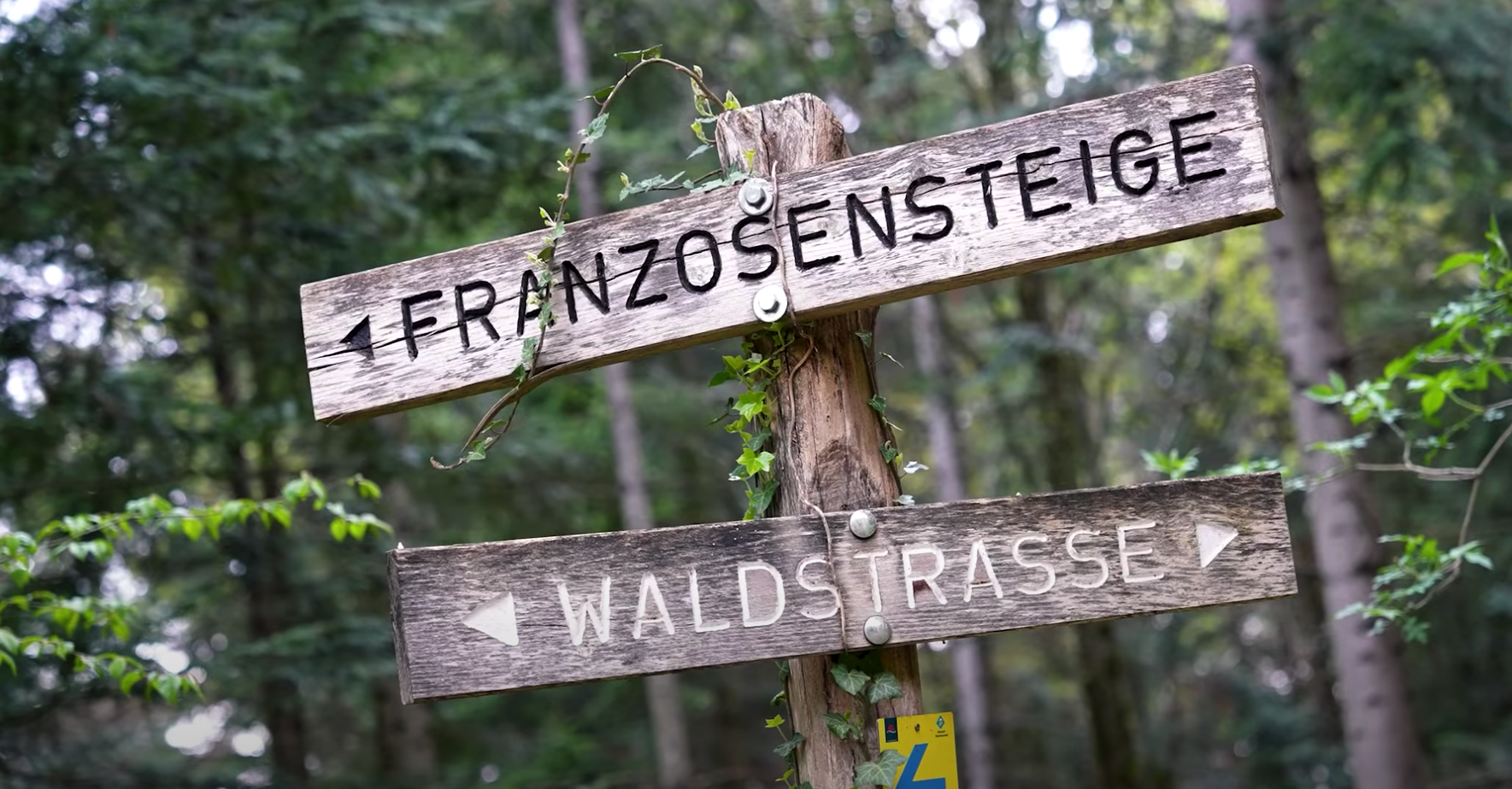 ドイツフライブルクの旅④ フライブルクの森林業について学ぶ（後編）