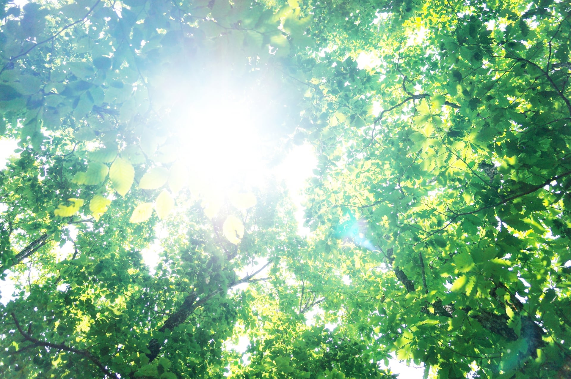 高気密高断熱は息苦しい？ 気密性のメリットとデメリットを大公開