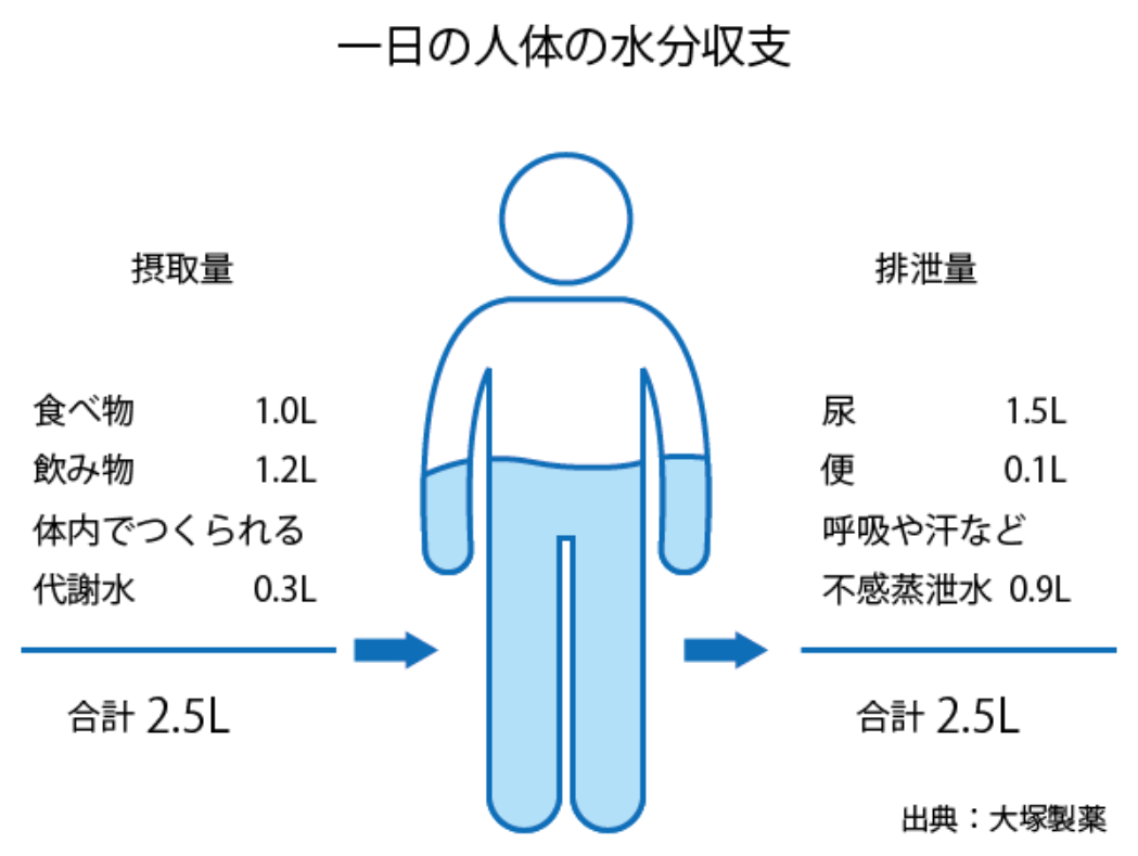 1日の人体の水分収支