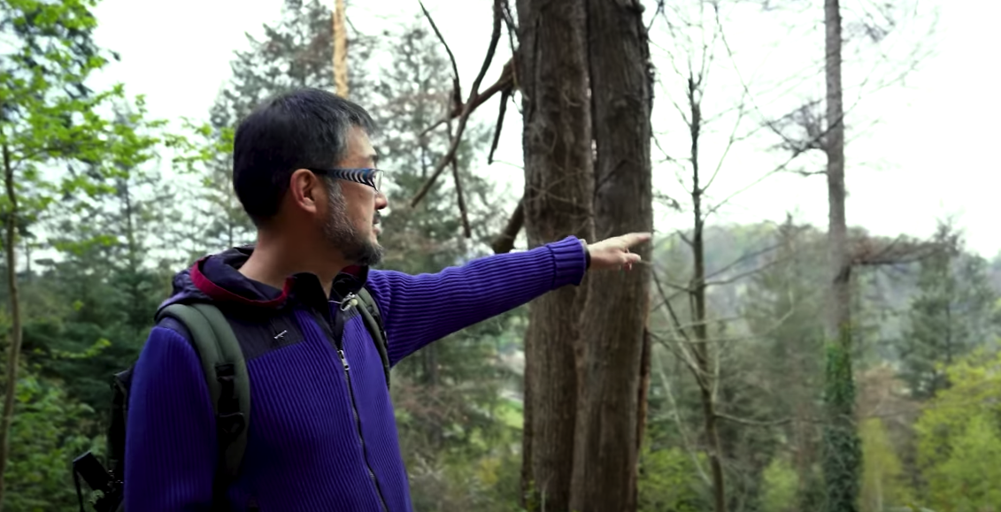 ドイツ フライブルクの旅③ フライブルクの森林業について学ぶ（前編）