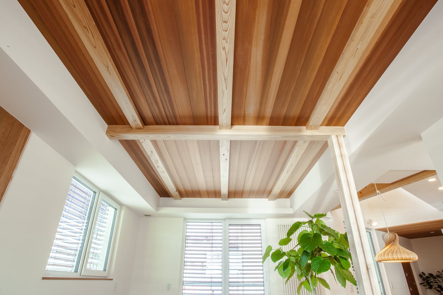 街に開かれた晴れ舞台 - ギャラリー 11