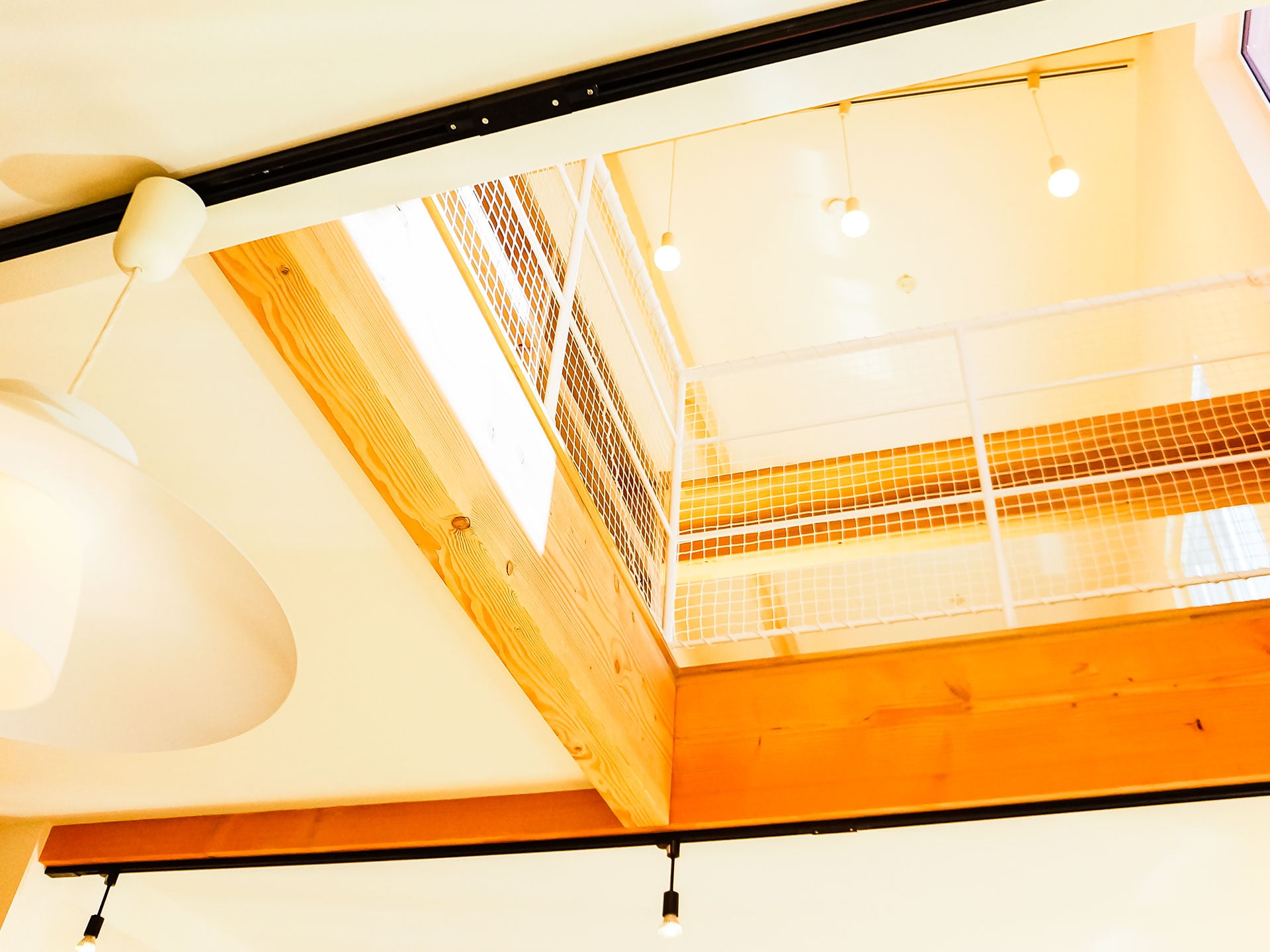 LIFE_002 - ギャラリー 2