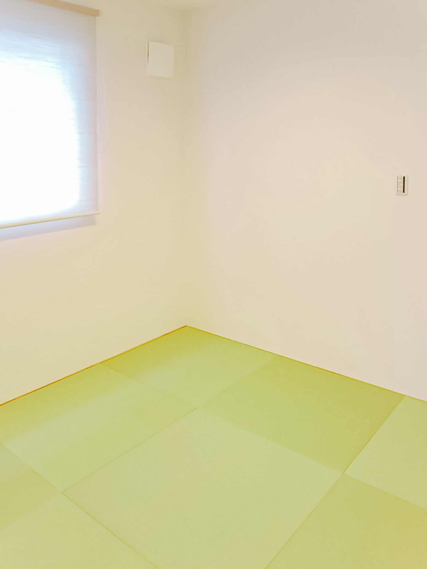 LIFE_016 - ギャラリー 9