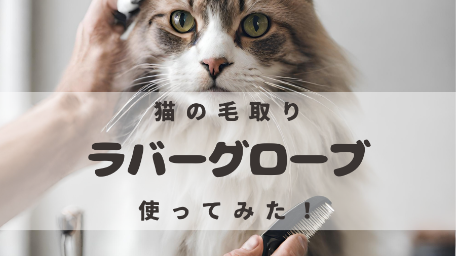 猫の毛取り　ラバーグローブ使ってみた！