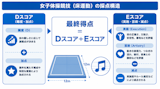女子ゆかの採点を解説｜Dスコア・構成要求・難度の仕組み