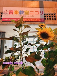嘉手納　9月第2週　たくさんの方が見守る大切さ