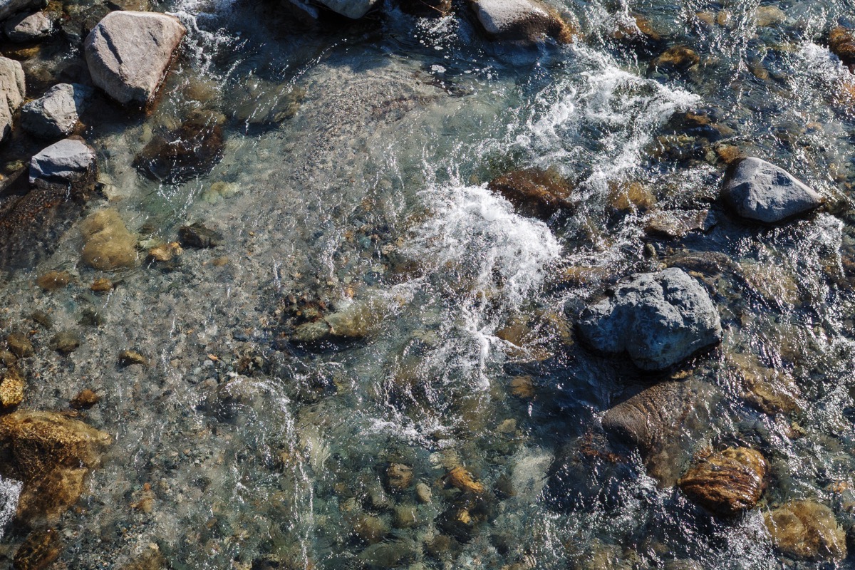 透き通る道志川の水