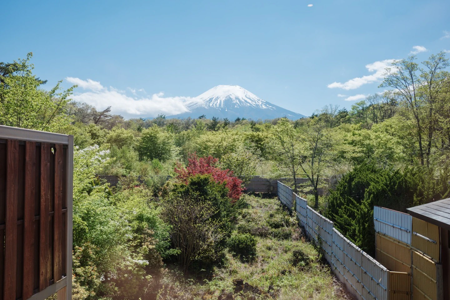 紅富士の湯から見える富士山の絶景