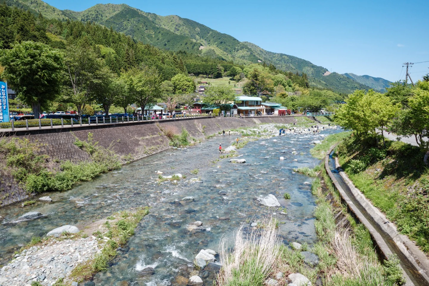 新緑に囲まれた道志川の清流