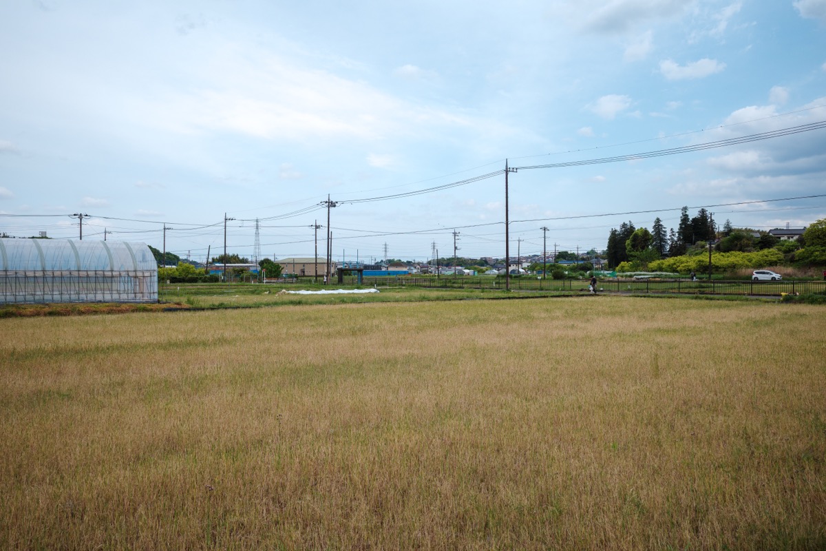 寺家ふるさと村の田園風景