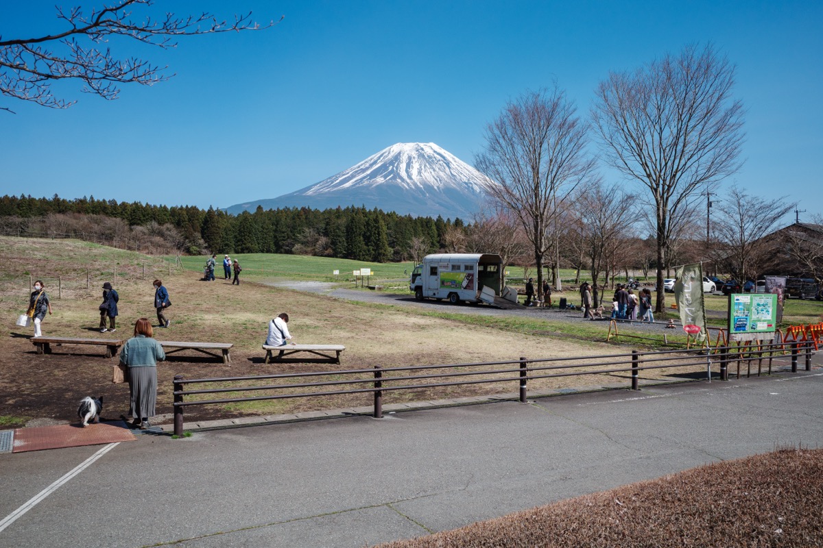 道の駅朝霧高原から見た富士山