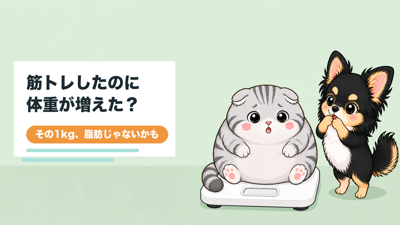 筋トレ1ヶ月で体重が増えた理由と40代からの見分け方