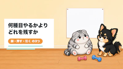筋トレ30分は何種目？種目が多すぎるときの40代からの絞り方