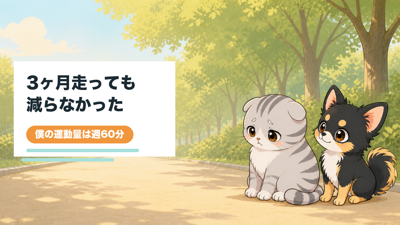 ジョギング3ヶ月で痩せなかった理由40代の僕の週60分