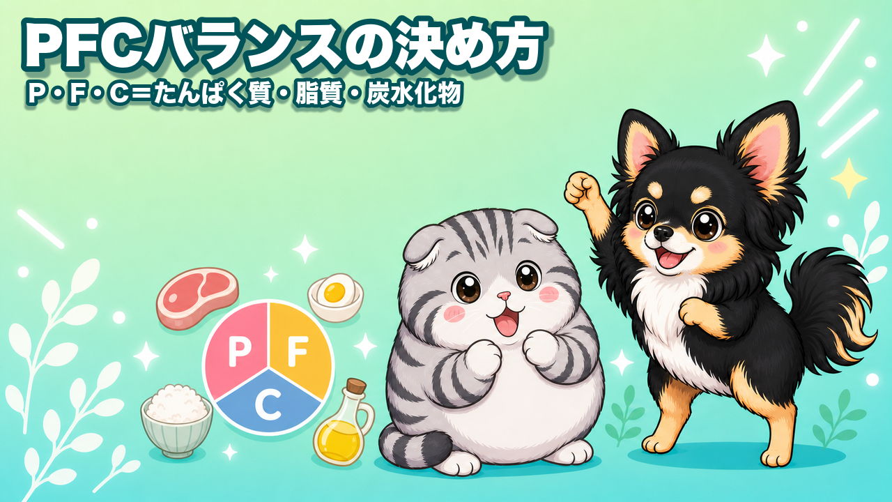 PFCバランスの決め方と順番40代のP→F→Cをグラムで出す