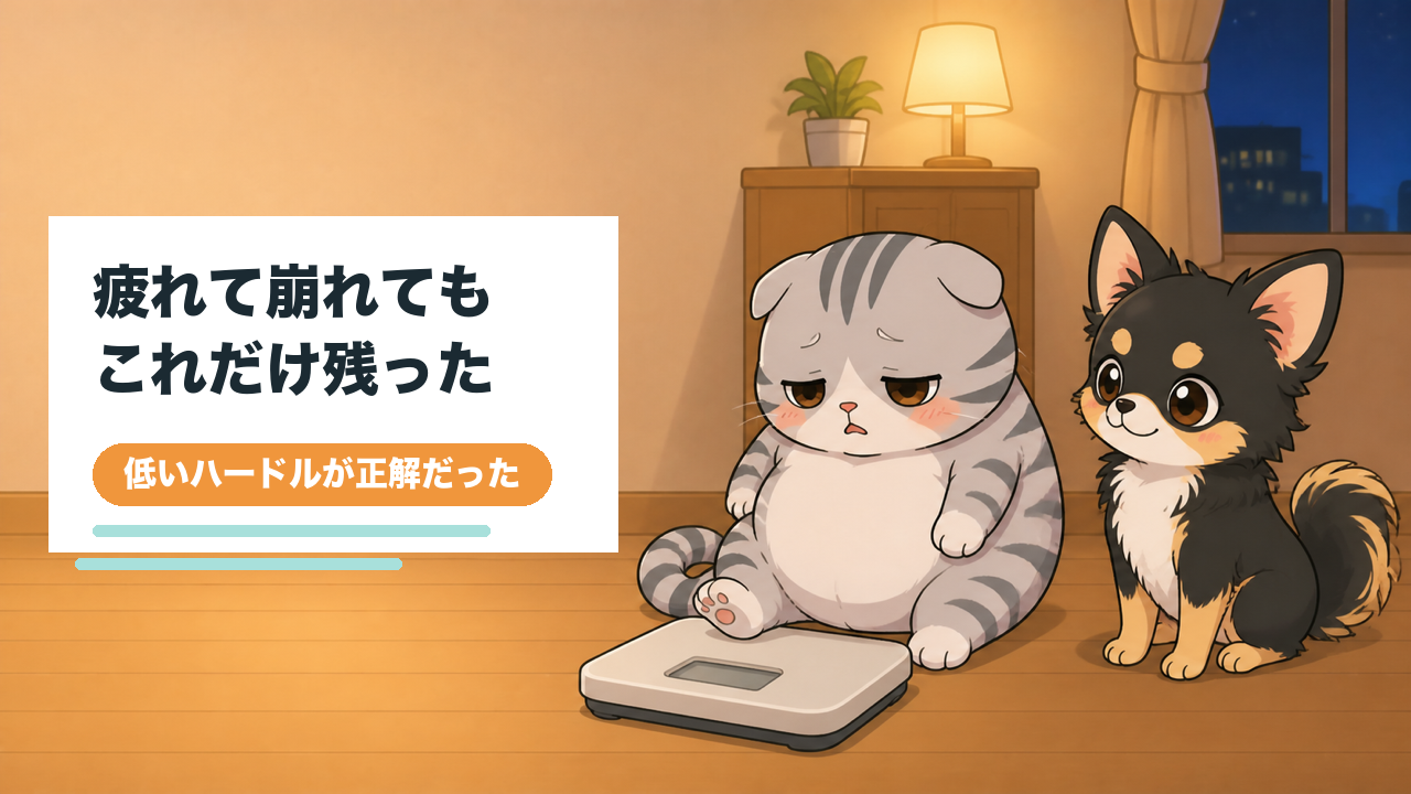疲れてダイエットが続かない40代へ、僕がこれだけ残した話