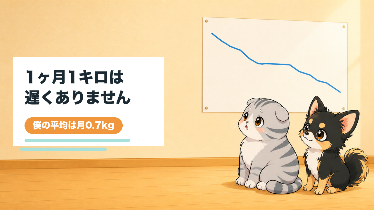 40代からのダイエット1ヶ月何キロ？僕の平均は月0.7kg