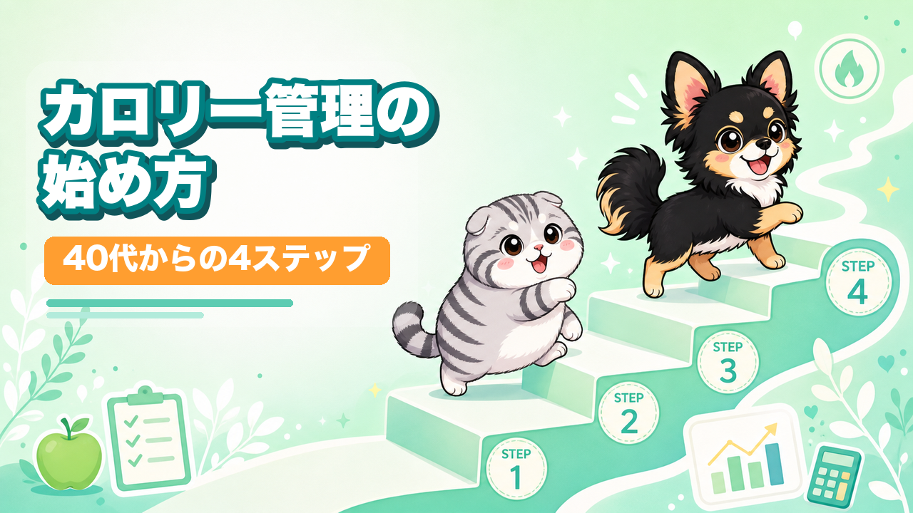カロリー管理の始め方40代がゼロから迷わない4ステップ
