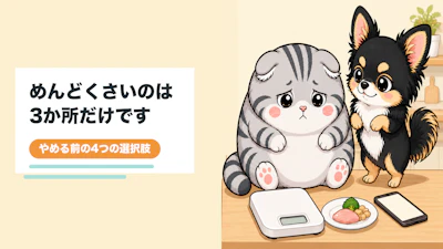 カロリー計算がめんどくさいとき、40代からの4つの選択肢