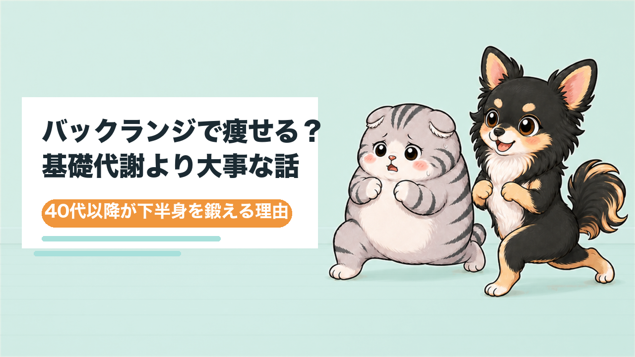 バックランジで痩せる？基礎代謝より大事な40代以降の理由
