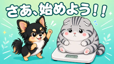 12kg痩せたのに、なぜリバウンド？原因と防ぎ方
